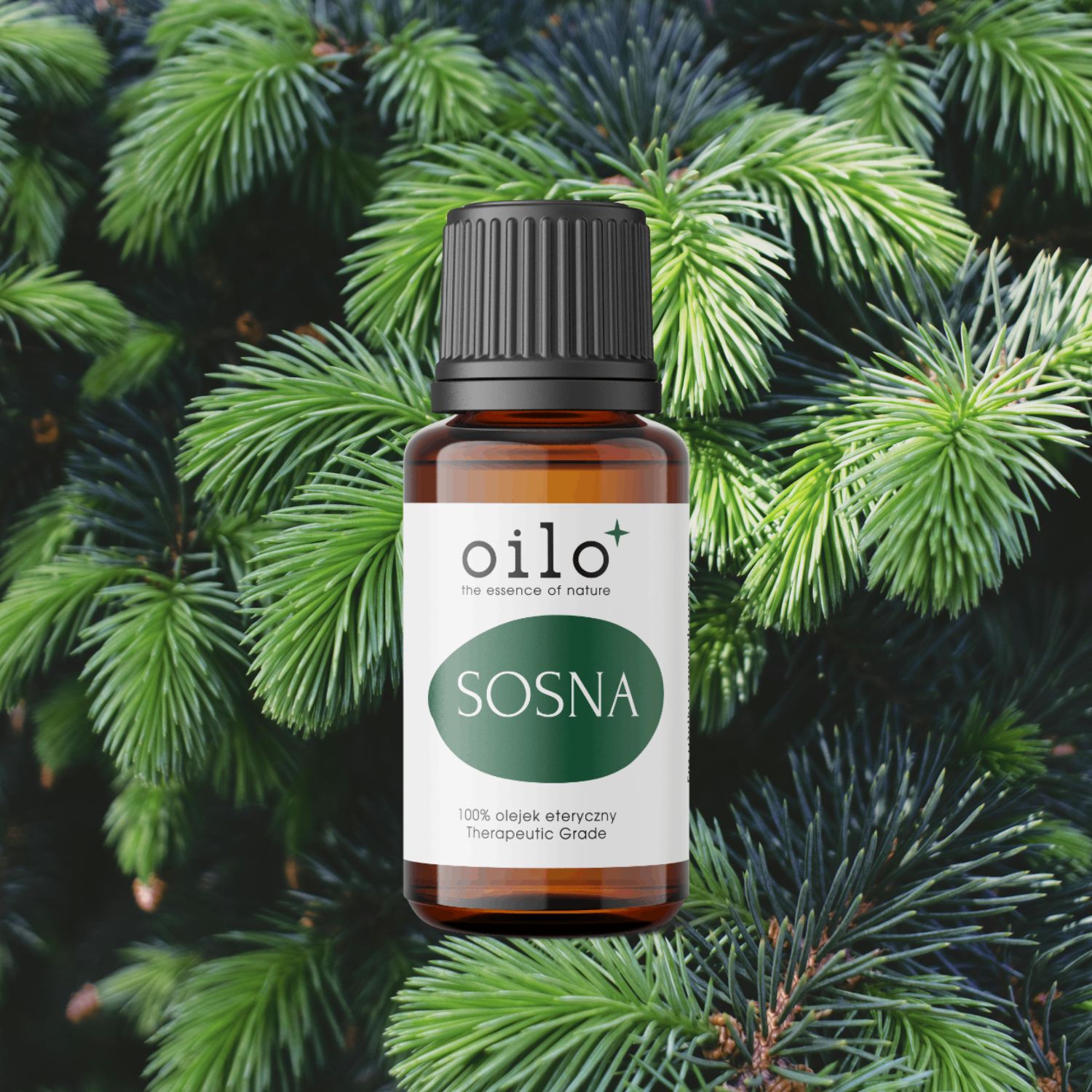 Olejek sosnowy / sosna Oilo Bio 5 ml