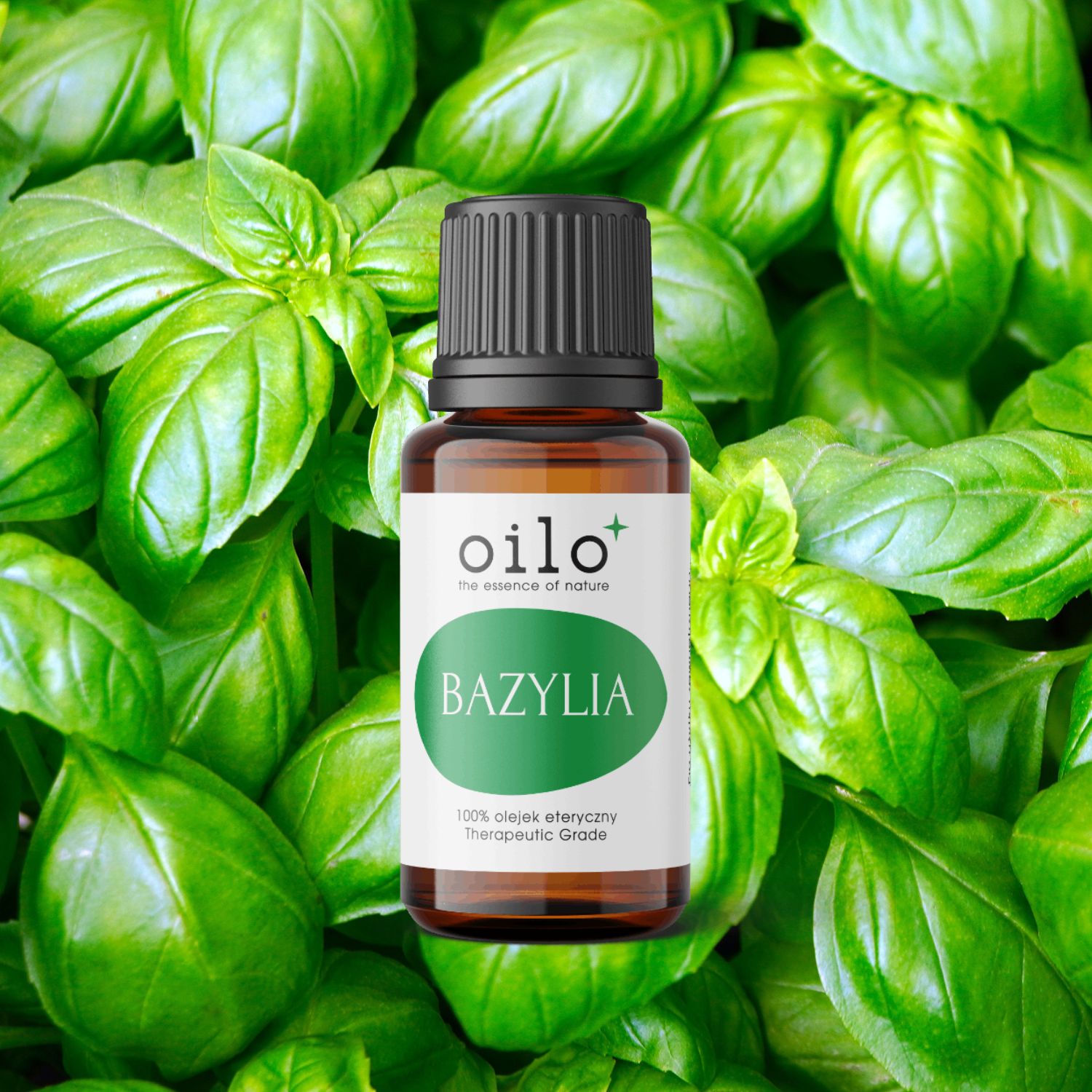 Olejek bazyliowy / bazylia Oilo Bio 5 ml