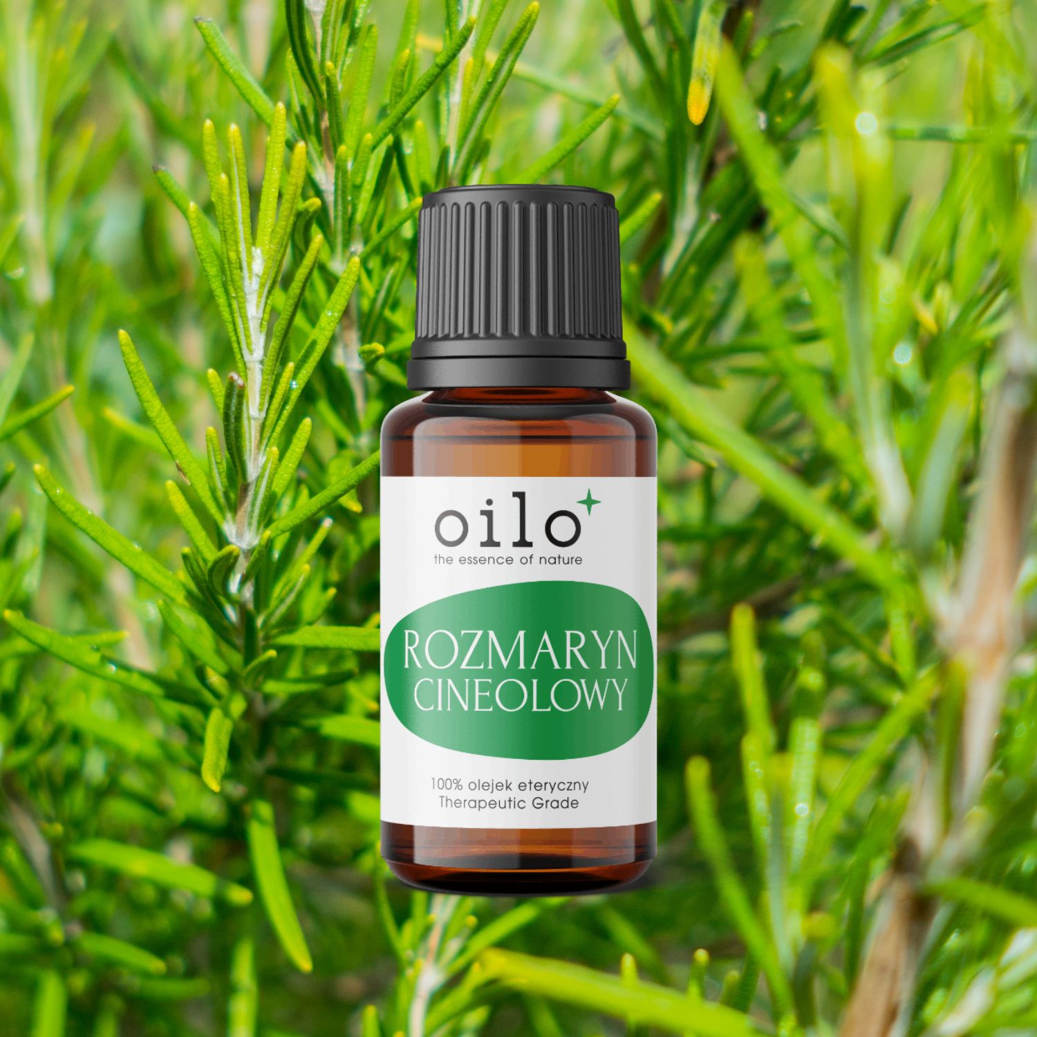 Olejek rozmarynowy cineolowy / Rozmaryn Cineolowy Oilo Bio 5 ml