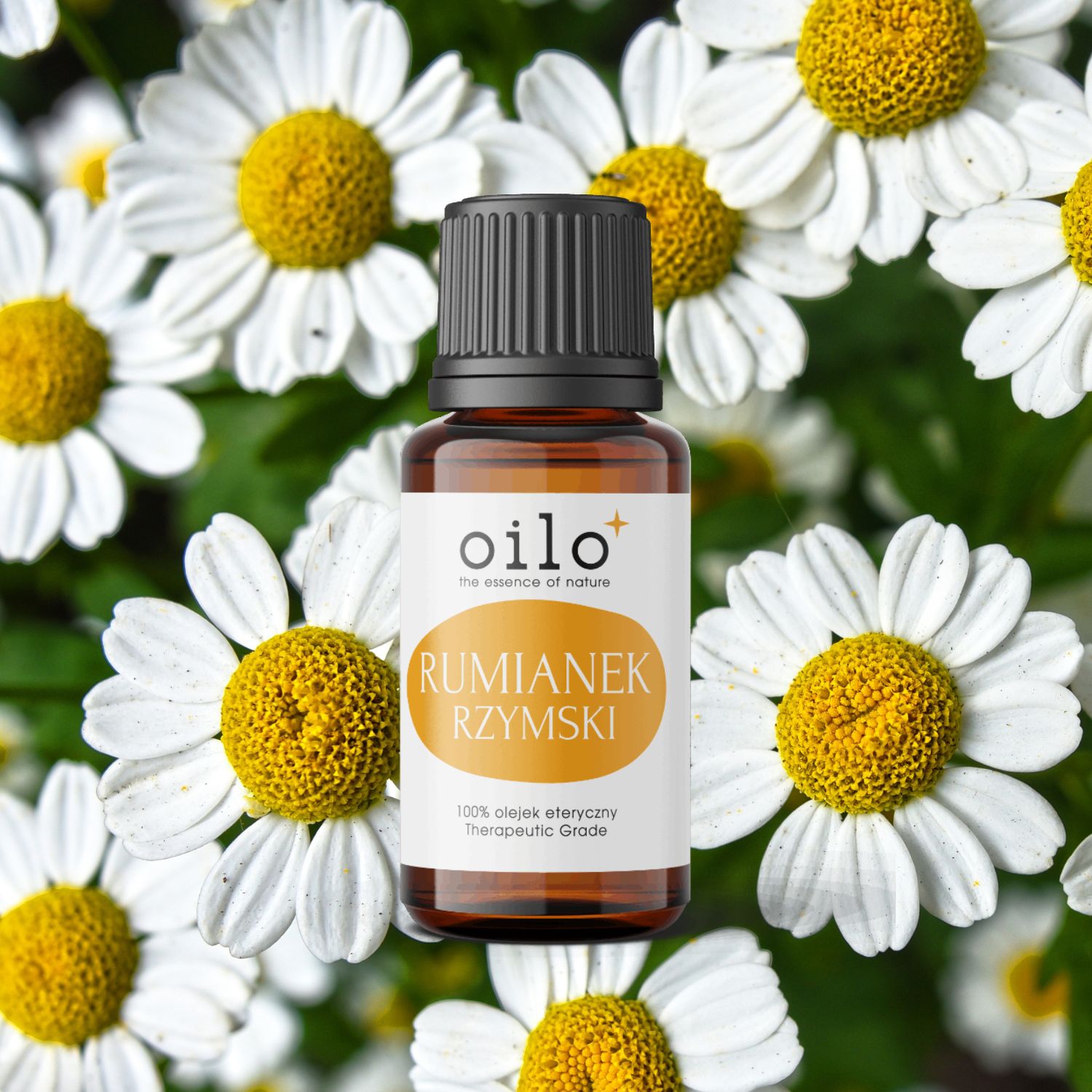 Olejek rumiankowy / rumianek rzymski Oilo Bio 5 ml