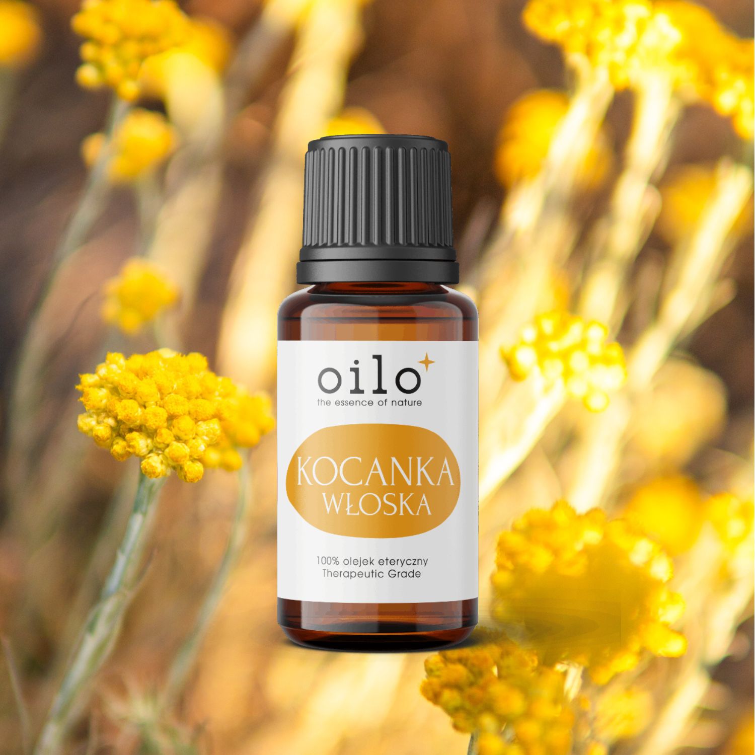 Olejek kocankowy / kocanka włoska Oilo Bio 5 ml