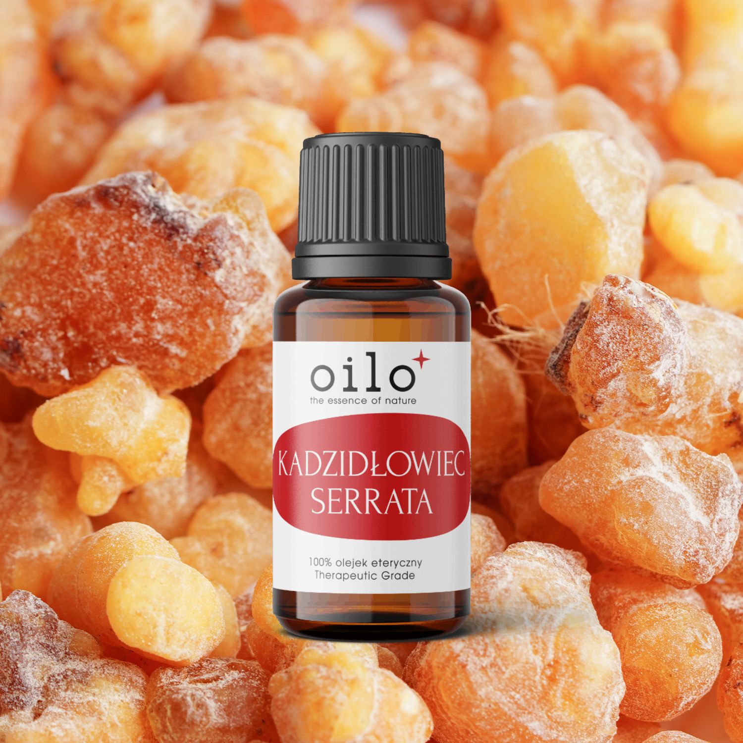 Olejek kadzidłowy / Boswellia serrata Oilo BIO 5 ml