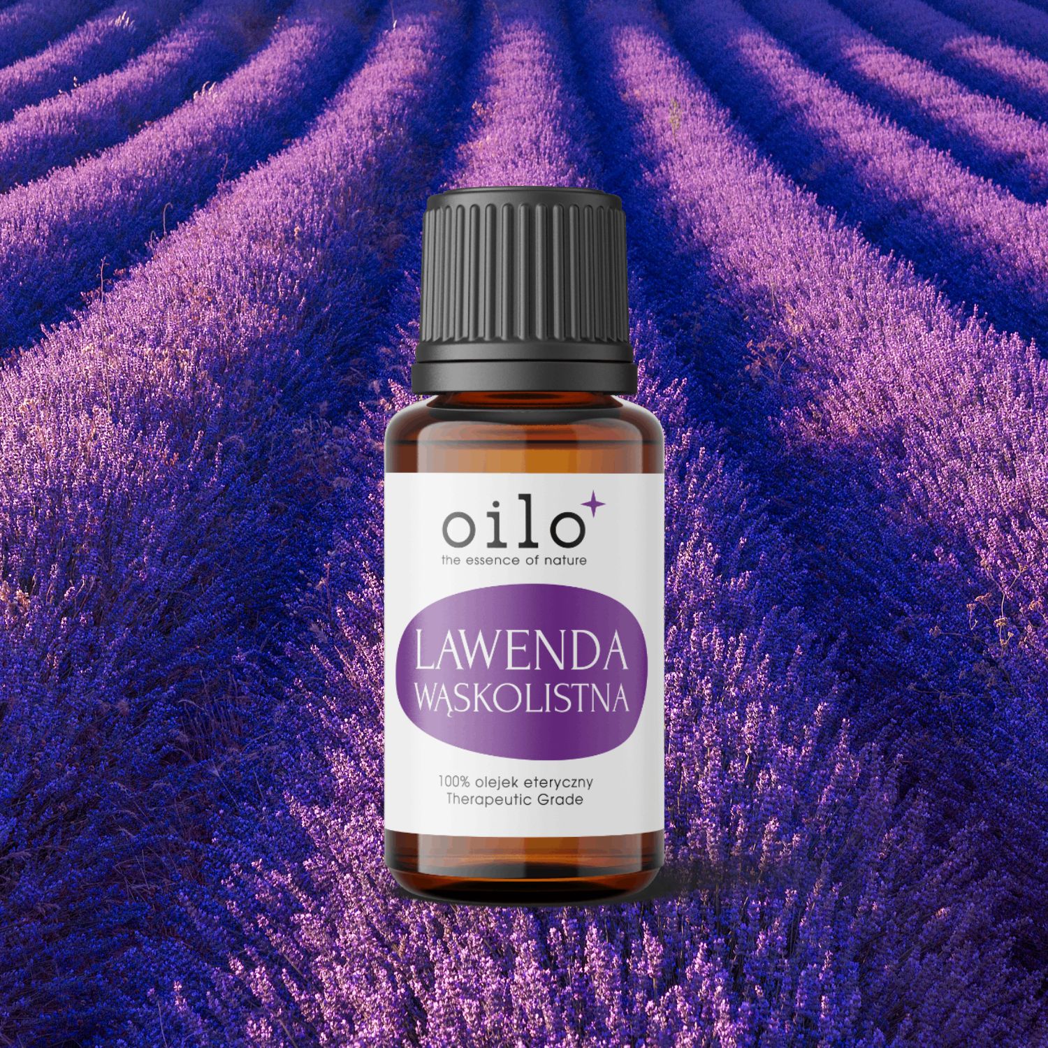 Olejek lawendowy / lawenda wąskolistna Oilo Bio 10 ml
