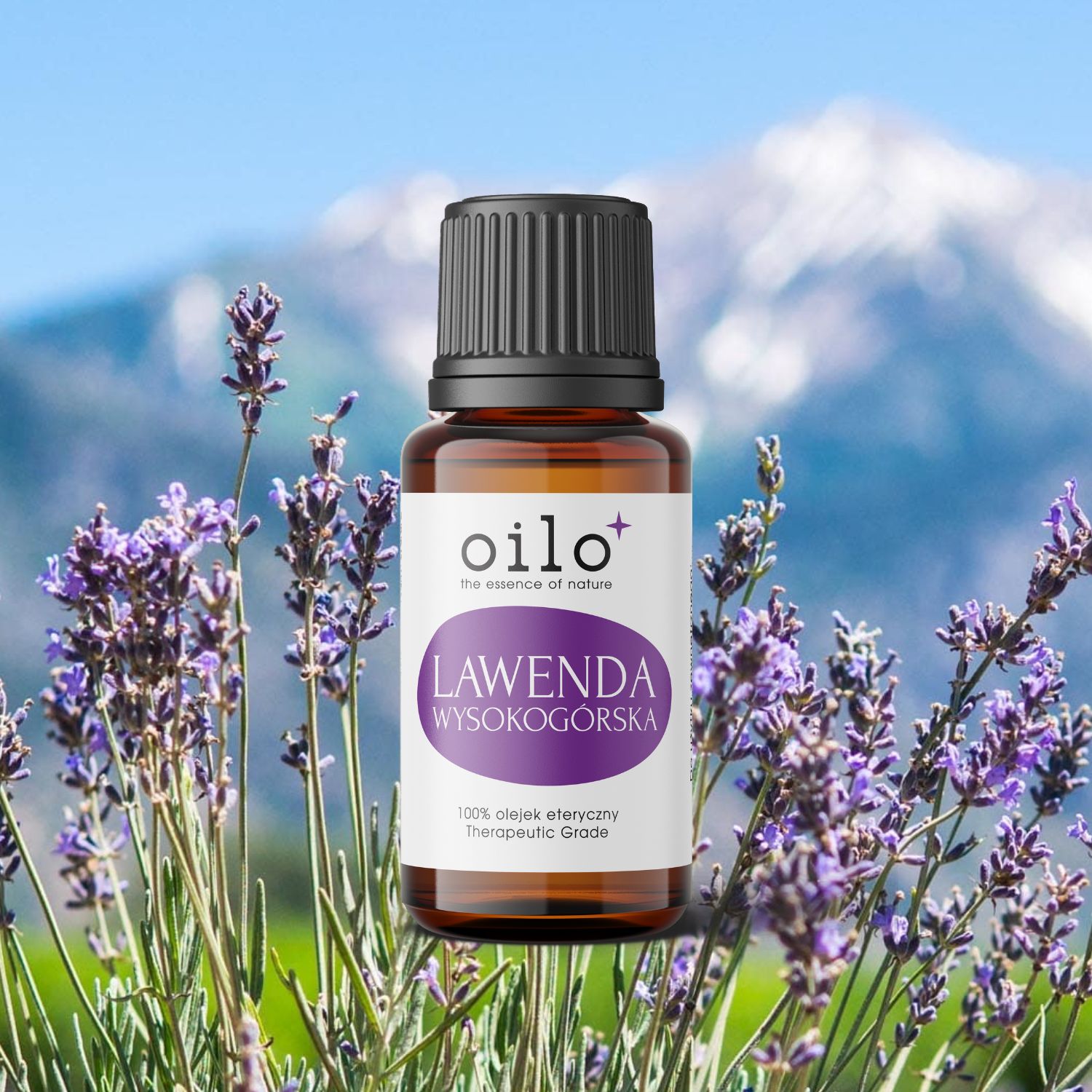 Olejek lawendowy / lawenda wysokogórska Oilo Bio 10 ml