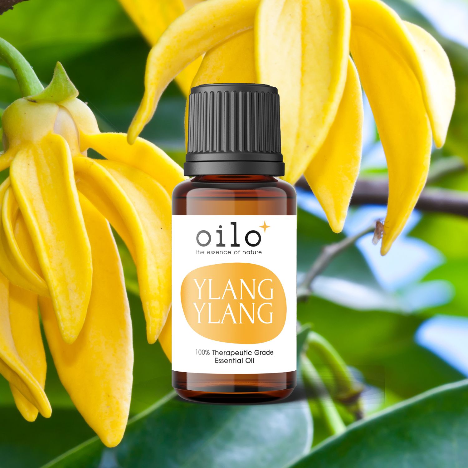 Olejek ylangowy / ylang ylang Oilo Bio 5 ml